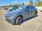 ALFA ROMEO STELVIO 2024