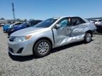 TOYOTA CAMRY 2013