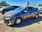TOYOTA PRIUS PRIME 2021