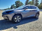 LEXUS NX 2020