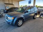 FORD ESCAPE 2011