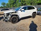 TOYOTA RAV4 2024