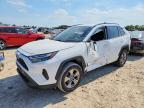 TOYOTA RAV4 2024