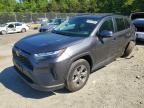 TOYOTA RAV4 2024