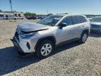 TOYOTA RAV4 2024