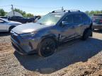 TOYOTA RAV4 2023