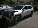 TOYOTA RAV4 2024