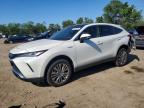 TOYOTA VENZA 2021