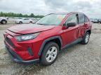 TOYOTA RAV4 2019