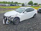 LEXUS IS 2017