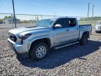 TOYOTA TACOMA 2024