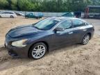 NISSAN MAXIMA 2011