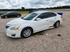 NISSAN ALTIMA 2013