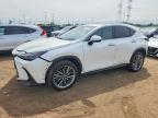 LEXUS NX 2025
