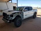 TOYOTA TACOMA 2021