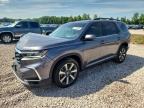 HONDA PILOT 2024