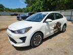 KIA RIO 2022