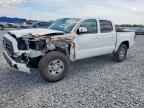 TOYOTA TACOMA 2023