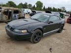 FORD MUSTANG 2002