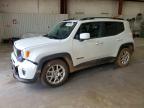 JEEP RENEGADE 2019
