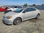 SCION TC 2007