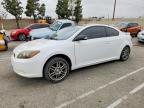 SCION TC 2010