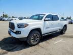 TOYOTA TACOMA 2023