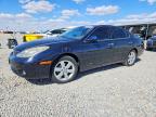 LEXUS ES 2005