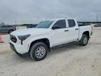 TOYOTA TACOMA 2024