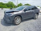 TOYOTA RAV4 2024