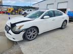NISSAN MAXIMA 2011