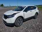 HONDA CR-V 2019