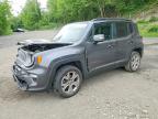 JEEP RENEGADE 2020