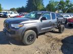 TOYOTA TACOMA 2021