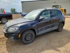 VOLKSWAGEN TIGUAN 2013