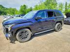 TOYOTA SEQUOIA 2024