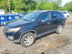 KIA SORENTO 2011