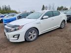 KIA OPTIMA 2014