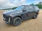 CADILLAC ESCALADE 2021