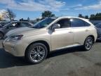 LEXUS RX 2013