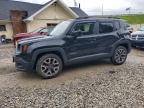 JEEP RENEGADE 2015