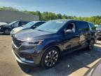KIA CARNIVAL 2024