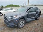 TOYOTA RAV4 2024