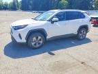 TOYOTA RAV4 HYBRID 2025