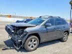 TOYOTA RAV4 2025