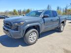 TOYOTA TACOMA 2024
