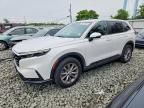 HONDA CR-V 2023