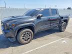 TOYOTA TACOMA 2024