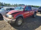 TOYOTA TACOMA 2001