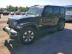JEEP WRANGLER 2023